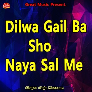 Dilwa Gail Ba Sho Naya Sal Me