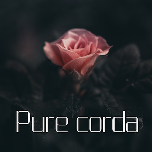 토요일엔 쉬고싶다 (I Want To Rest On Saturday)