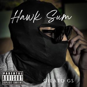 Hawk Sum (Explicit)