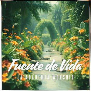 Fuente de Vida