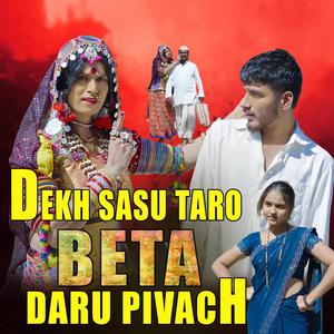 TARO BETA DARU PIVACH