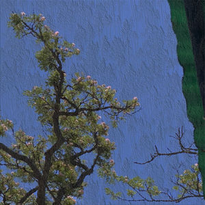 just wanted to say u ts