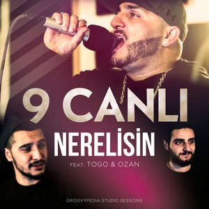 Nerelisin (Groovypedia Studio Sessions)