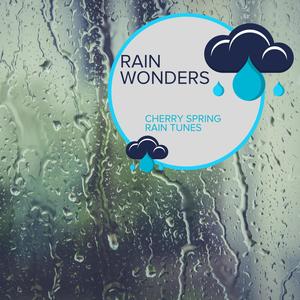 Rain Wonders - Cherry Spring Rain Tunes