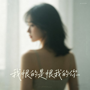 我恨的是恨我的你