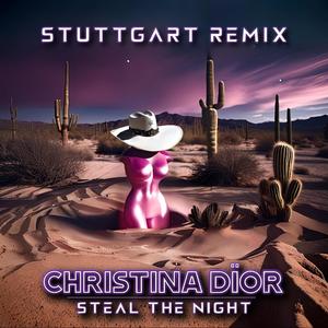Steal the night ((Stuttgart Remix))