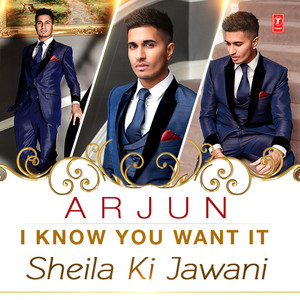 I Know You Want It (Sheila Ki Jawani)