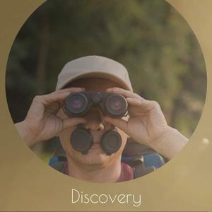 Discovery