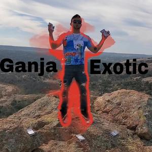 Mi Sufrimiento // Ganja Exotic