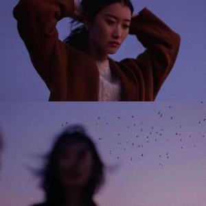 where are the signs (Explicit)