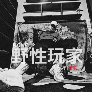 野性玩家 无损 mix3