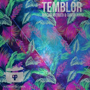 Temblor (Original Mix)