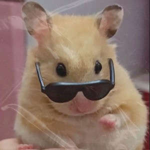 rato joga