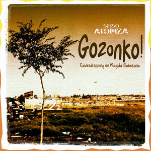 Nomayini My Darli (Lo-FI Kwaito)