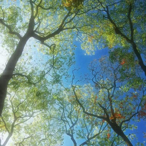 喜欢你 (复古R&B版)