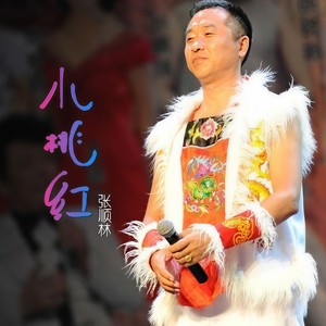 张顺林 - 走三边