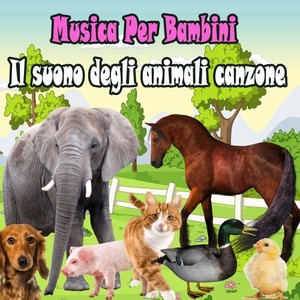 Il suono degli animali canzone (Canzone Animale)