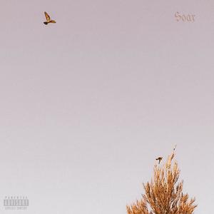 Soar (Radio Edit)