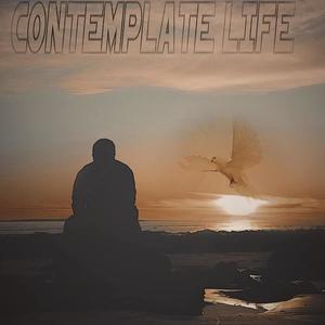 Contemplate Life (Explicit)