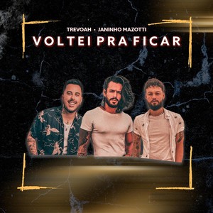 Voltei Pra Ficar(feat. Janinho Mazotti)