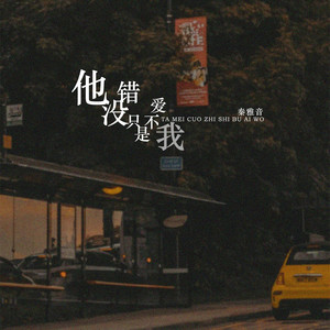 他没错只是不爱我 (DJ版)