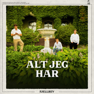 Alt Jeg Har (Explicit)