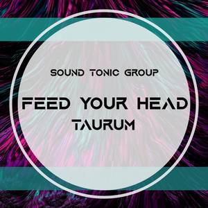 Feed Your Head (Radio Edit)