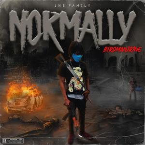 Normally(feat. Birdman Jr1ne)