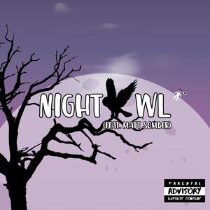 Nightowl (feat. Matt Somber) [Explicit]