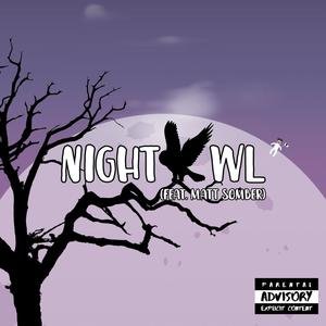 Nightowl(feat. Matt Somber) (Explicit)
