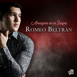 Amargura En La Sangre