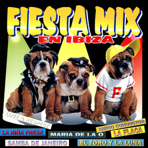 Fiesta Mix en Ibiza