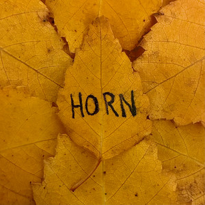Horn