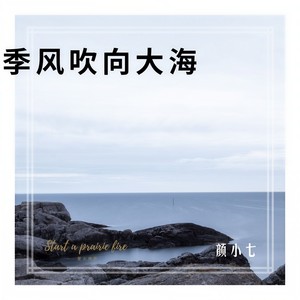 季风吹向大海