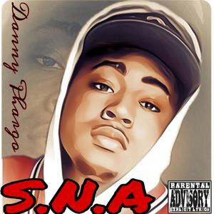 S.N.A (Explicit)