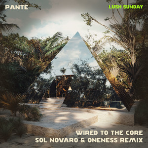 Wired To The Core (Sol Novaro & Oneness Remix)