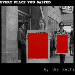 Every Place You Salted
