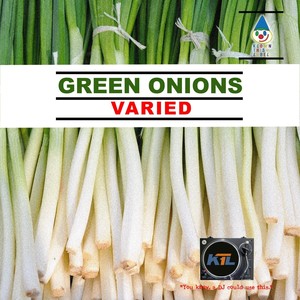 Green Onions