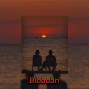 Bidadari (feat. Afyq)