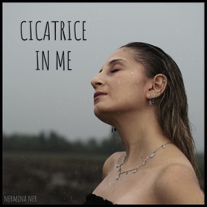 Cicatrice in me