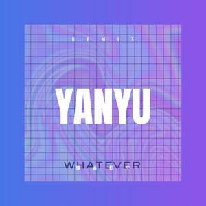 感官先生 (DJ版)