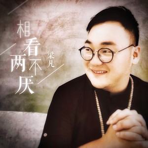 相看两不厌封面