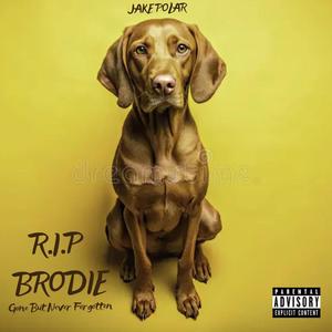 R.I.P BRODIE