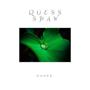Quess Shaw - Never Meant to Hurt You