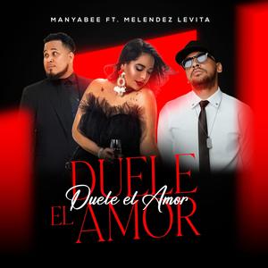 Duele El Amor (Merengue) (feat. Melendez Levita)