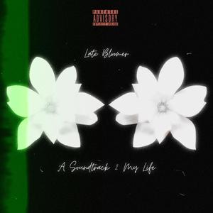 Late Bloomer: A Soundtrack 2 My Life (Explicit)