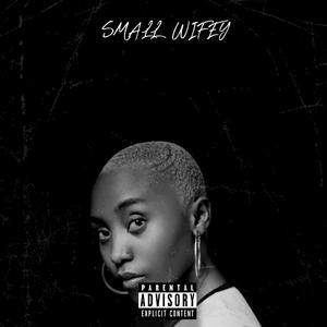 Small Wifey Freestyle (feat. Gleekie, STRM YP, Da'maestro & COzMIC) (Explicit)