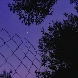 Xubakhi Xondhiya(slowed reverb)