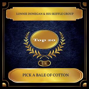 Pick A Bale Of Cotton (UK Chart Top 20 - No. 11)