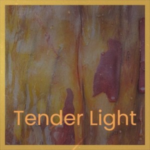 Tender Light